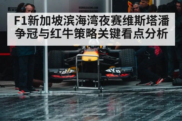 Formula 1 pit stop crew